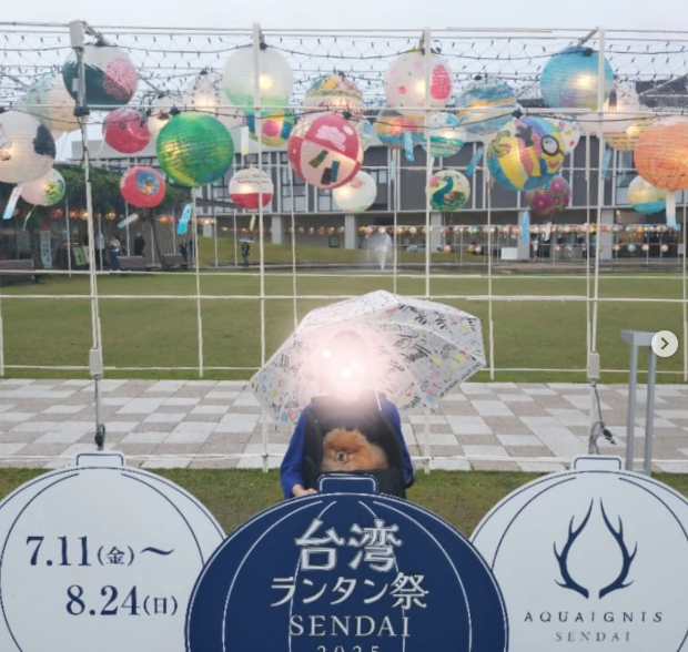canelegram_514